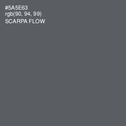 #5A5E63 - Scarpa Flow Color Image